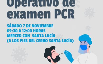 TOMAS DE PCR EN BELLAS ARTES